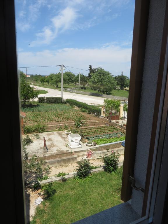 Filipovic Apartments With Pool Biograd Na Moru Esterno foto